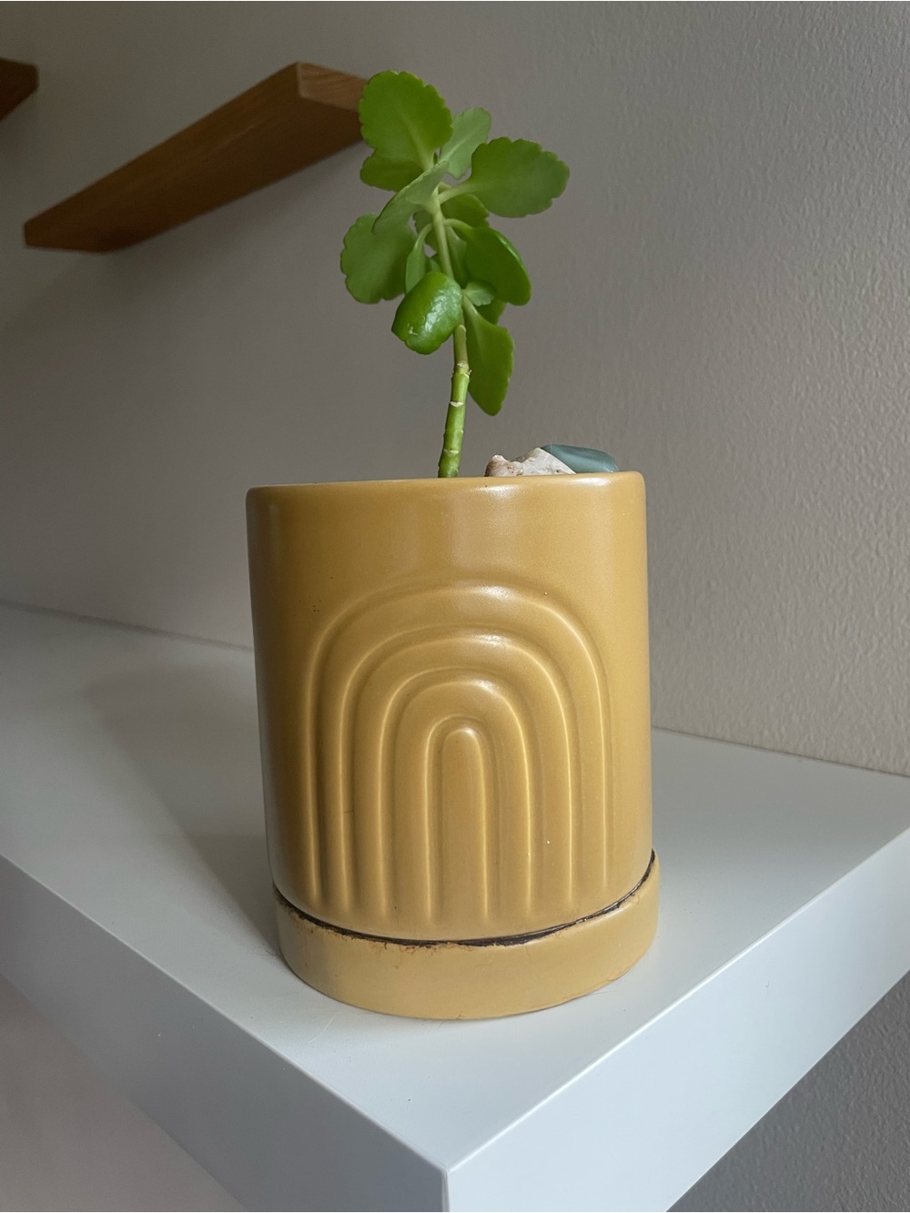 World Market Mustard Yellow Ceramic Planter